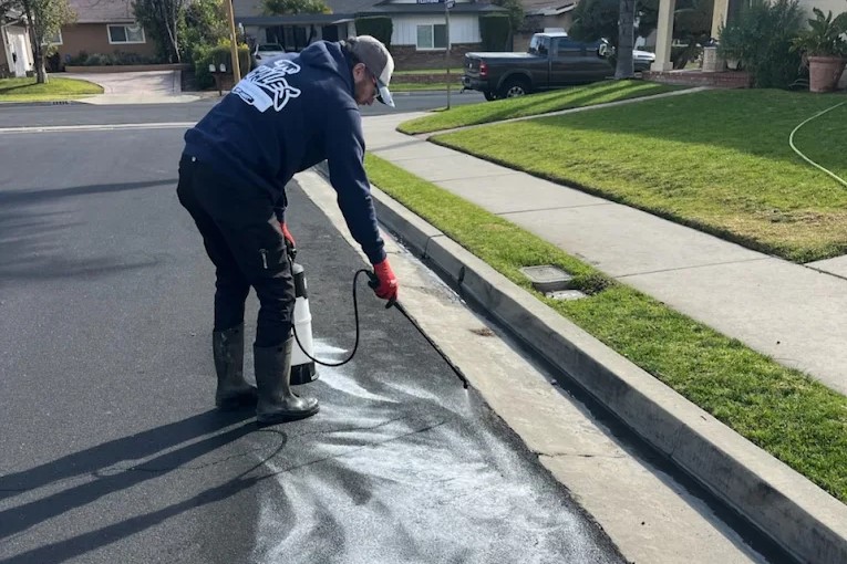 Roof & Gutter Cleaning